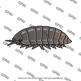 Isopod