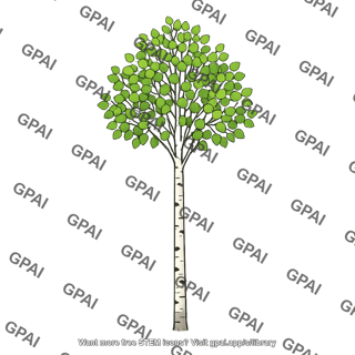 Aspen tree