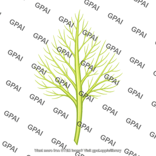 Dill sprig