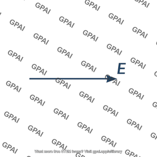 Electric field vector