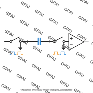 Switched capacitor input circuit