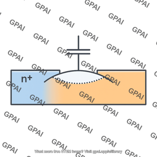Source body depletion capacitance
