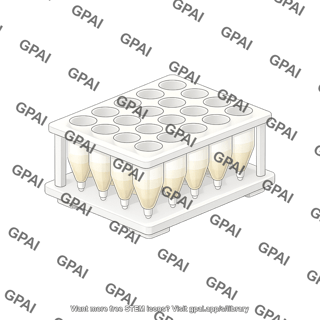 Deep well plate 24 well g rex