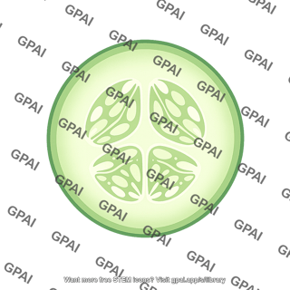 Cucumis slice