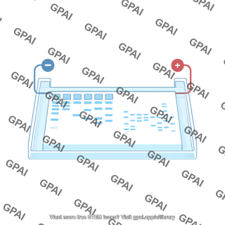 Gel electrophoresis horizontal with bands