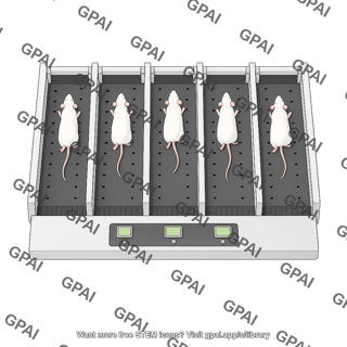 Rodent treadmill exer 3 6 top view with mice