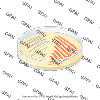 Petri dish streak plate streak only