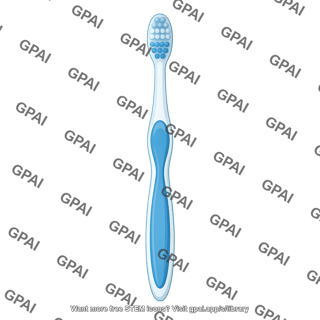 Toothbrush anterior 255