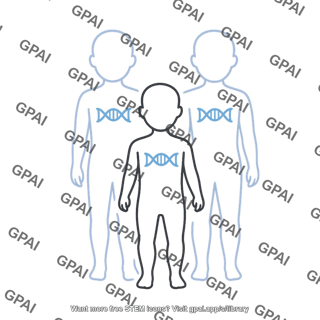 Human genome people