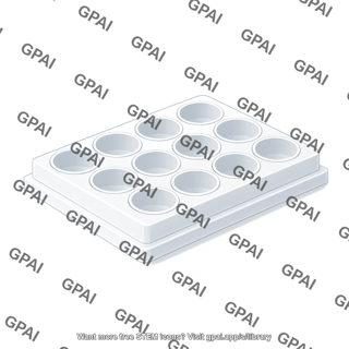 Well plate 12 wells 3d 02