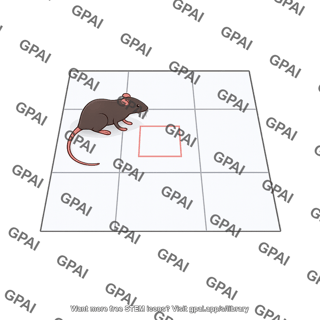 Mouse open field test