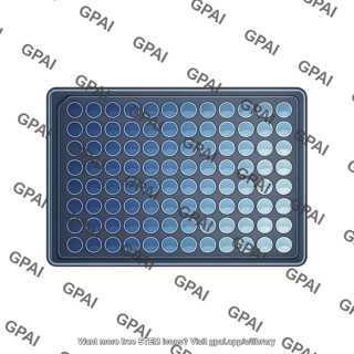 Well plate top view 96 wells