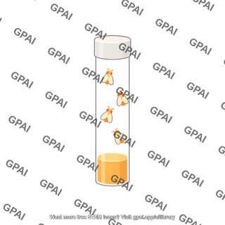 Drosophila tube with simplified flies