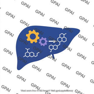 Liver enzyme metabolism