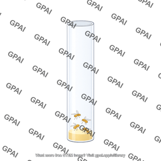 Drosophila tube tall open
