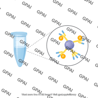 Antibody based protein targeting callout from liquid in eppendorf tube
