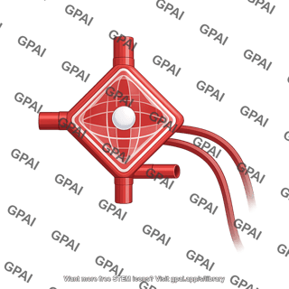 Extracorporeal membrane oxygenator filter with tubes