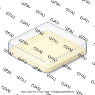 Petri dish square with grid 111