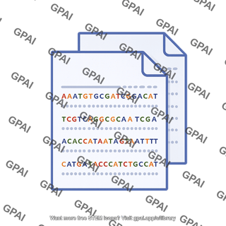 Fastq file next generation sequencing