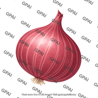 Onion allium cepa