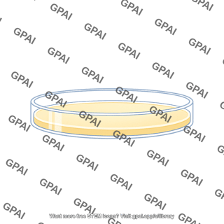Petri dish side view 185