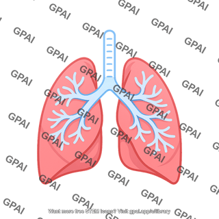 Lungs symbol with bronchioles