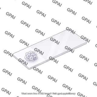 Microscope slide frosted top view