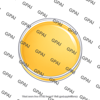Petri dish top view 2