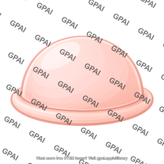 Diaphragm 657