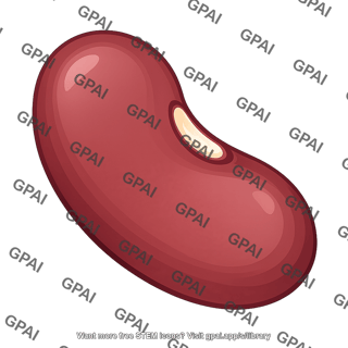 Kidney bean