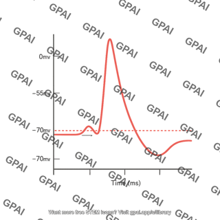 Action potential diagram labeled generic