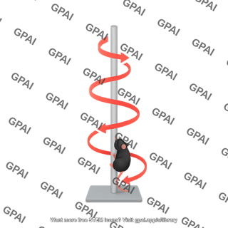 Pole test curvy mouse trajectory