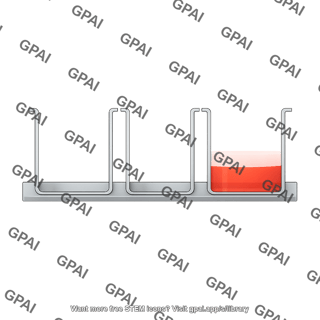 Well plate side view container wide
