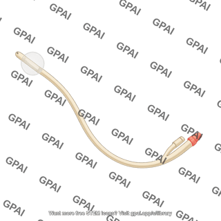 Foley catheter