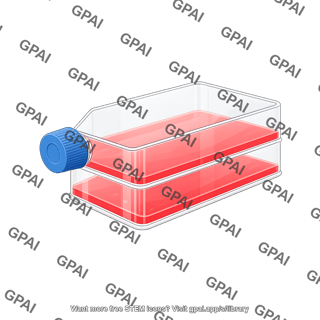 Cell culture multi flask 3 layers with liquid