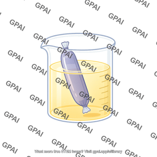 Dialysis tube in beaker