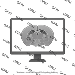 Mri image coronal mouse brain