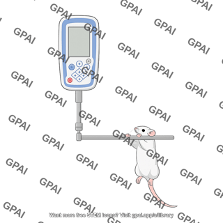 Grip strength meter rodent