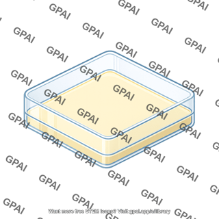 Petri dish square 509