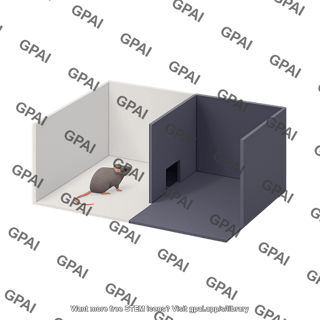Light dark box with mouse