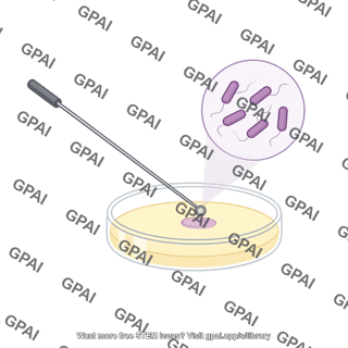 Petri dish sample placement with bacteria callout