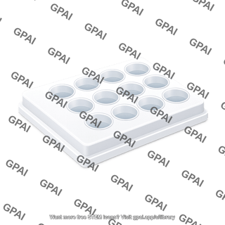 Well plate 12 wells 3d
