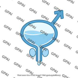 Bladder male symbol
