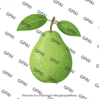 Guava