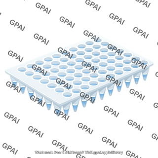96 well pcr plate top non skirted with liquid