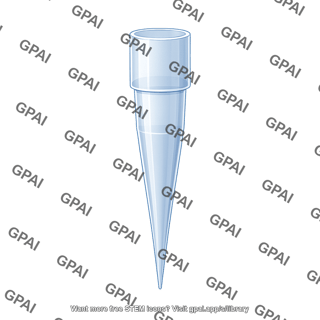 Pipette tip small empty