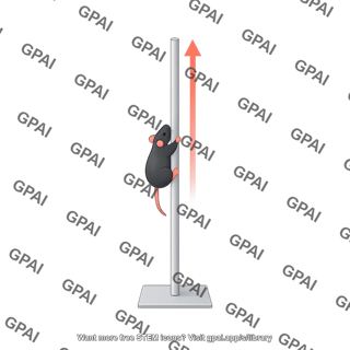 Pole test straight mouse trajectory
