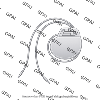 Pacemaker with leads