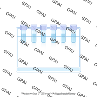 Gel electrophoresis horizontal gel only