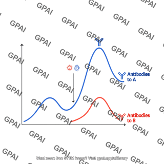 Secondary immune response graph labeled